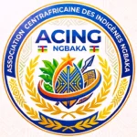 Logo_A.C.I.N.G_w