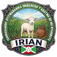 I.R.I.A.N.