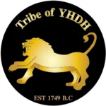 Logos YHDH_512_wb